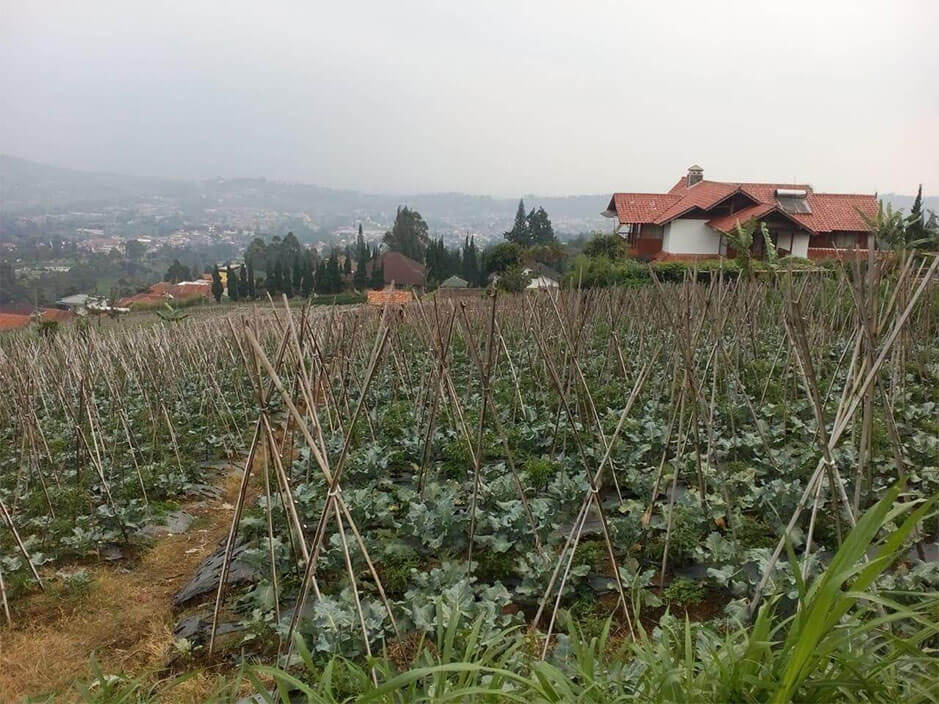 Tanah Lembang Asri Resort Luas 1530 Meter
