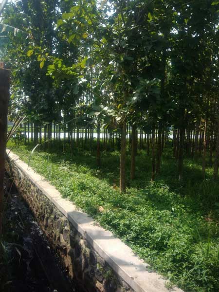 Tanah di Batu Permata Dekat Borma Margacinta