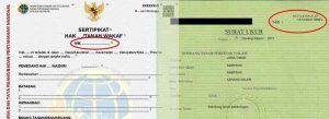Apa Itu Nomor Identifikasi Bidang (NIB)