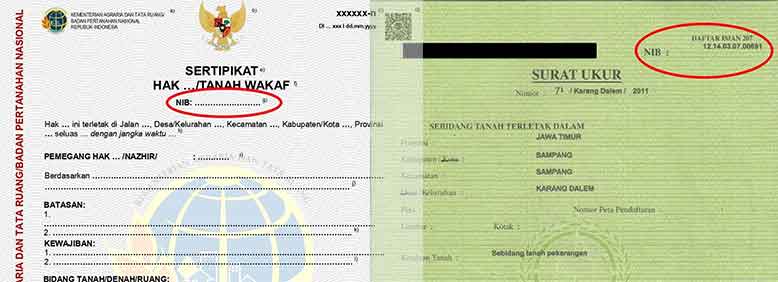 Apa Itu Nomor Identifikasi Bidang (NIB)